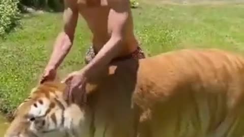 He's a cat in Africa, too.