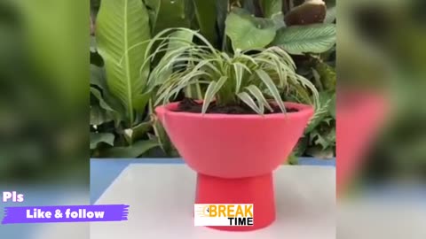 Creative Flower vase | amazing cement flower pot