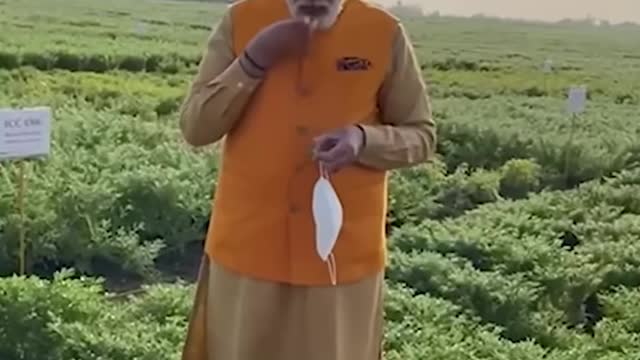 Pm Narendra Modi Stops By To Have 'Chana' At the ICRISAT Farm In HyedraBad