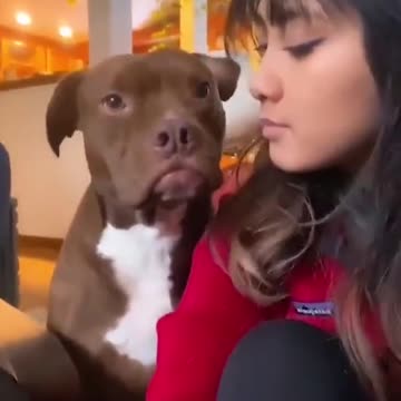 How dogs react to being kissed..😍