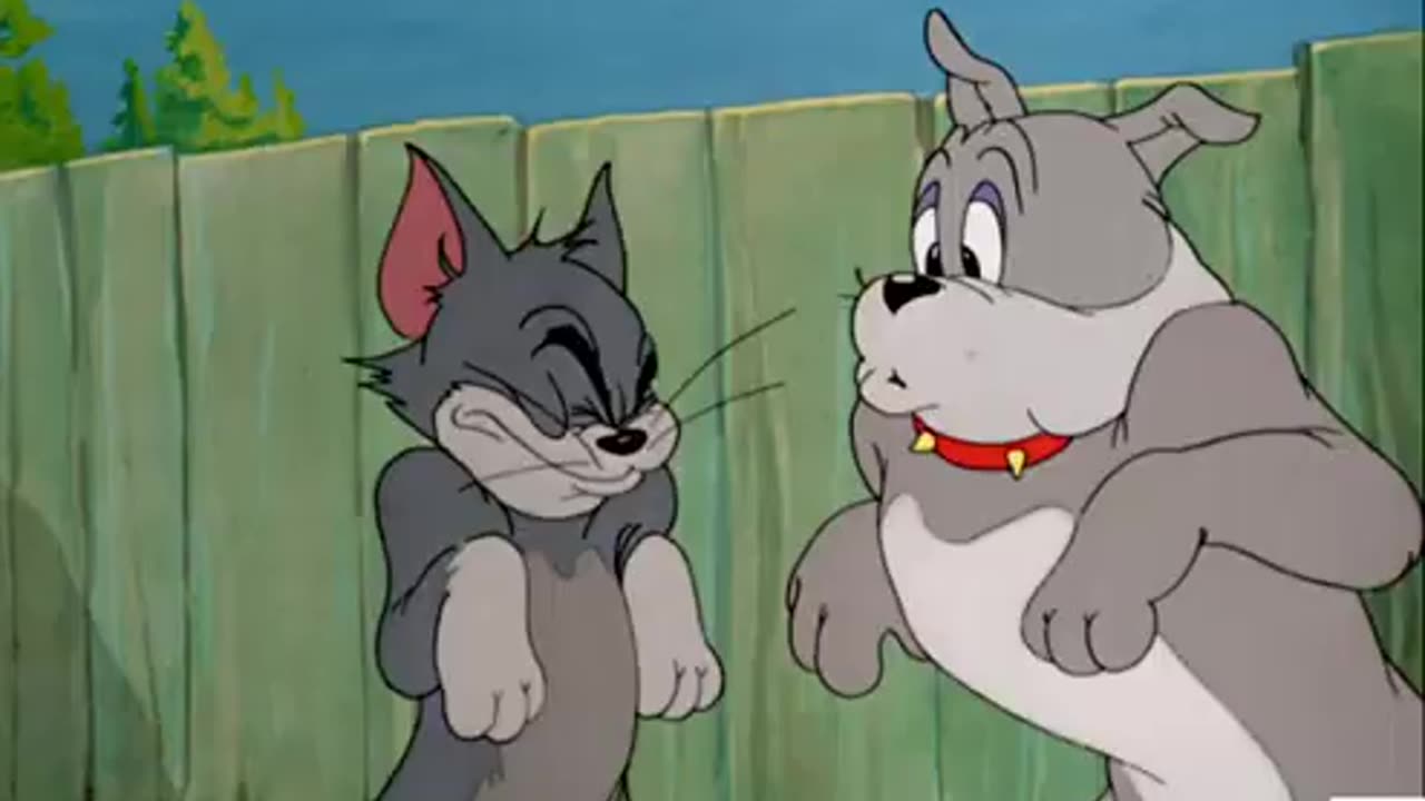 Tom and Jerry The trace hurt