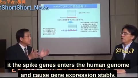 Professor Murakami Explains how the mRNA vaccines are causing cancer