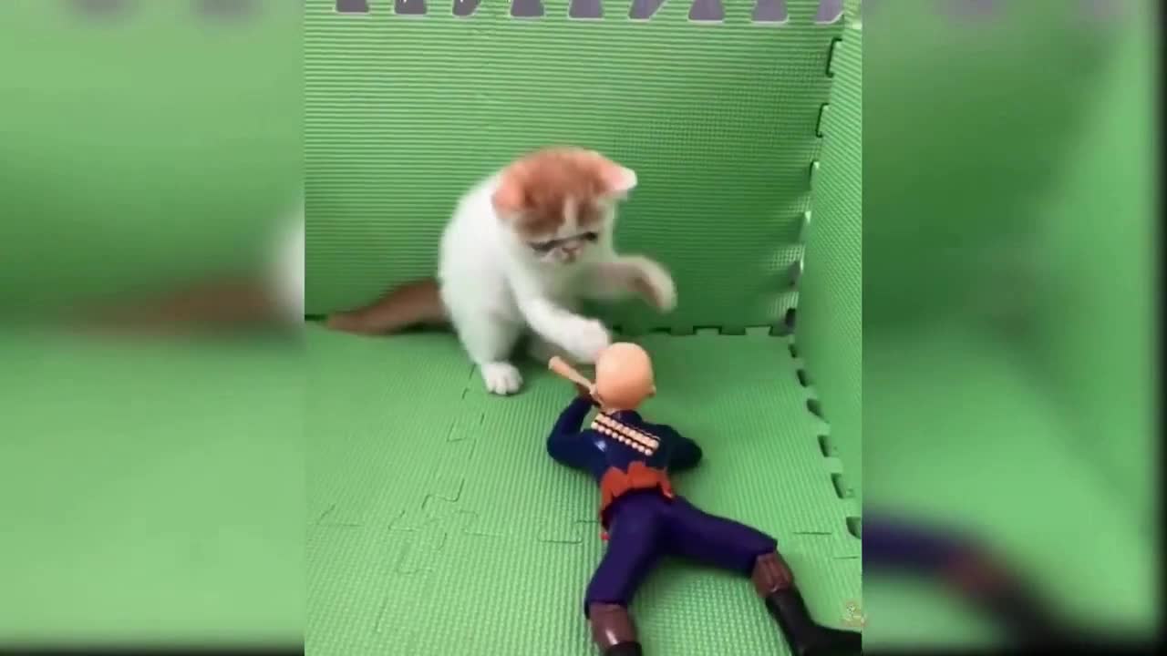 cute kitten with toy soldier