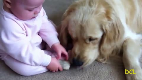 Adorable Baby Playing With Dog - Funny Babies and cute dogs