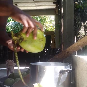 Learn how to cut coconut