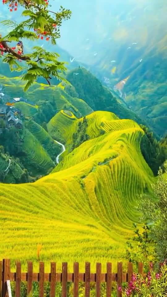 What a beautiful grass on mountain.