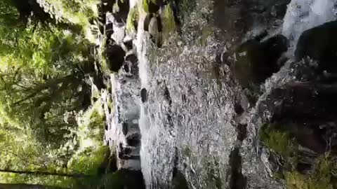 Relaxing Music | Sleeping, Meditation, Stress Relief | [1655] ⭐️