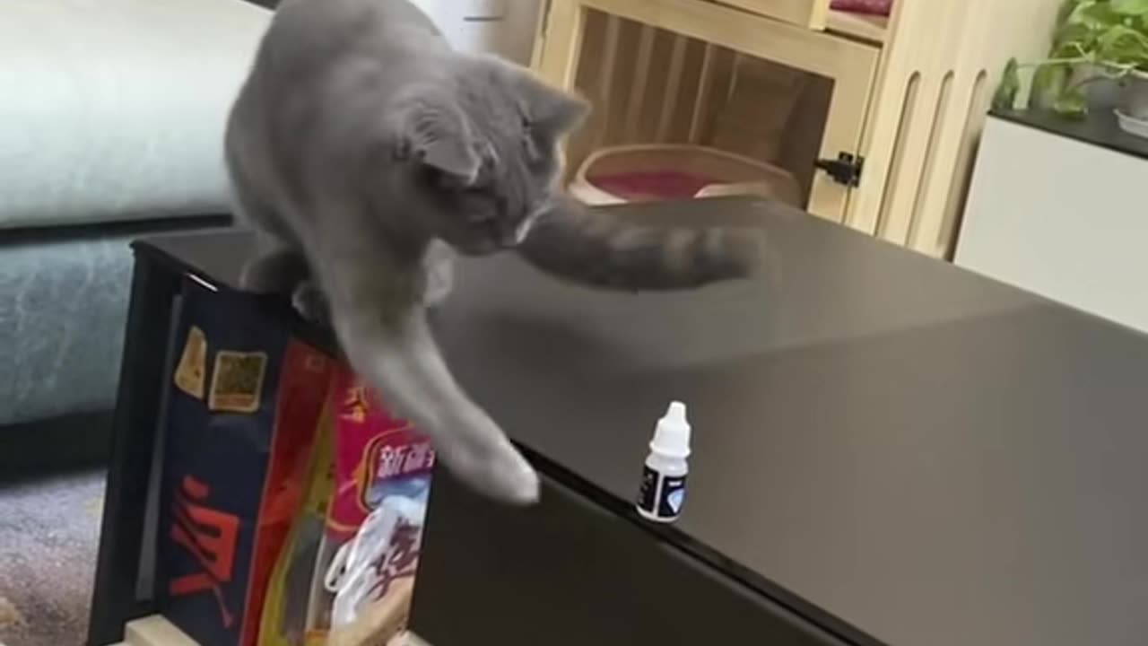 #Funny #Funny video#laugh# interesting#video#short video#short#short cut