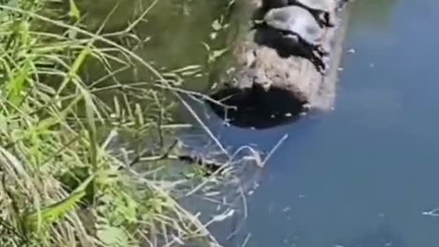Boss: Stop rocking about. If you do, the boat will turn over