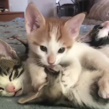 Stop it, see more cuteness here on my channel