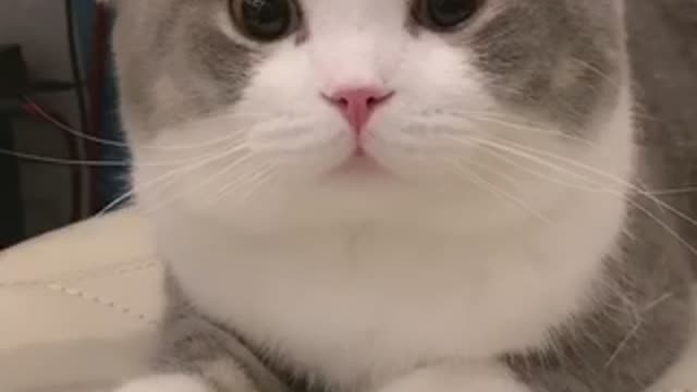 My face is getting bigger