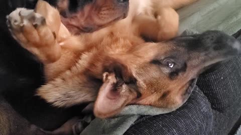 Weekend cuddles