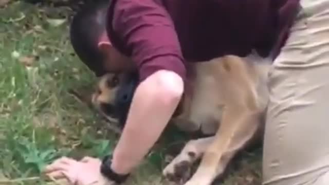 “My brother’s dog almost passed out after sprinting💕💞