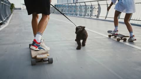Close up of black dog running between couple of riding skaters