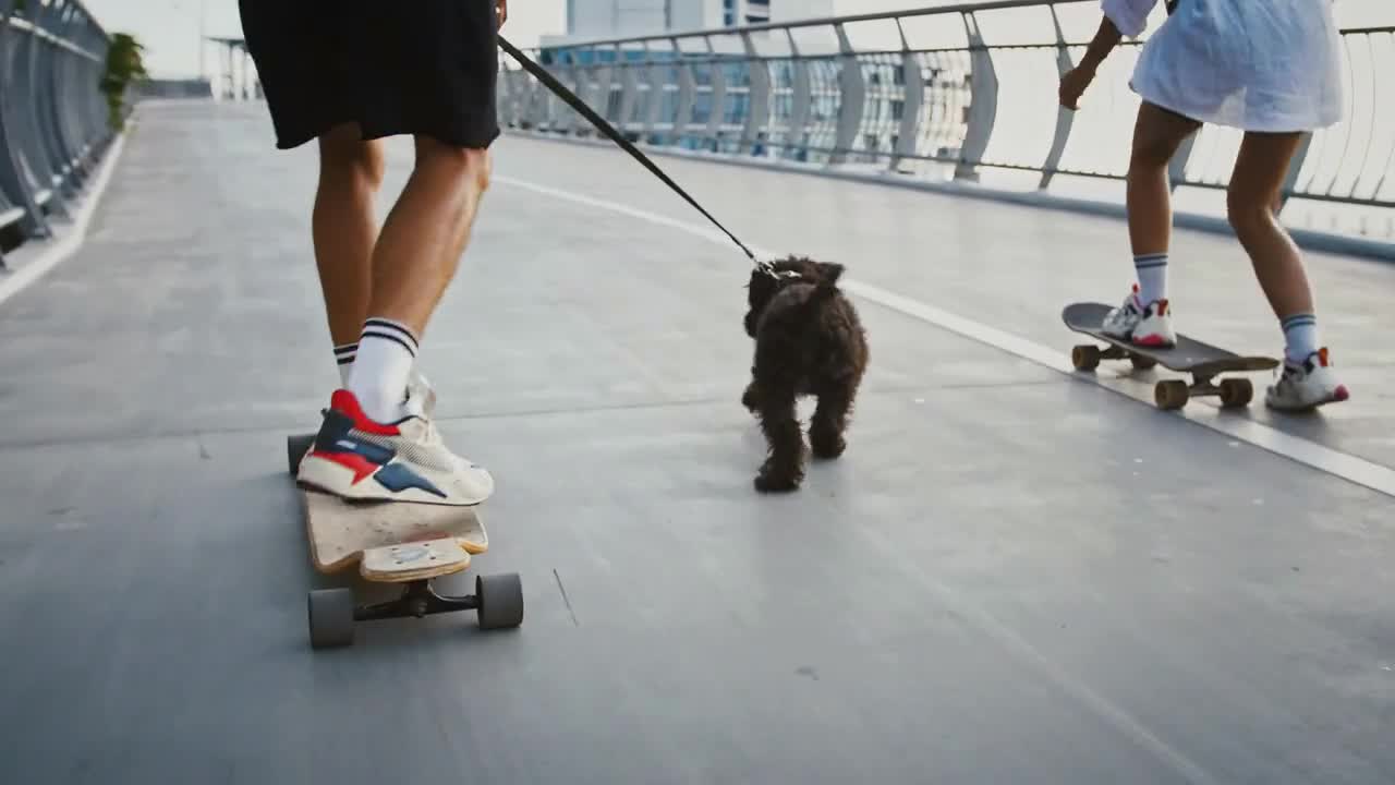 Close up of black dog running between couple of riding skaters