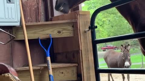 This isn't where I like my saddle pad