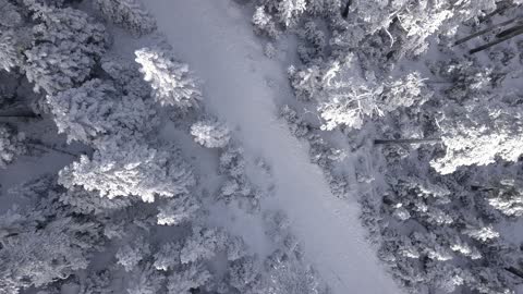 snow white view drone