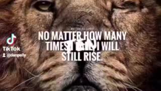 #lion #lioness #courage