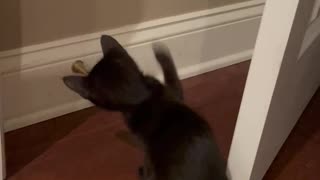 Just discovered the door stop