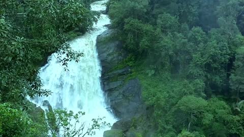 beautiful music with waterfall and nature sounds