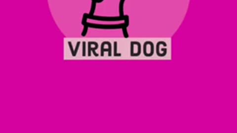 Animales vírales en las redes sociales