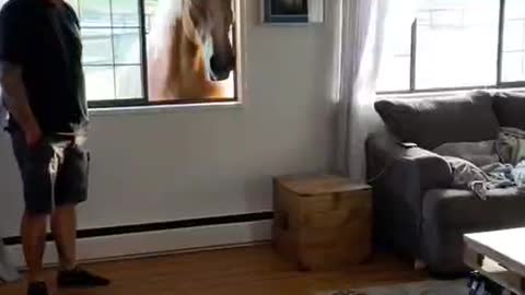When I woke up and opened the window, I was really scared, there was a sweaty BMW