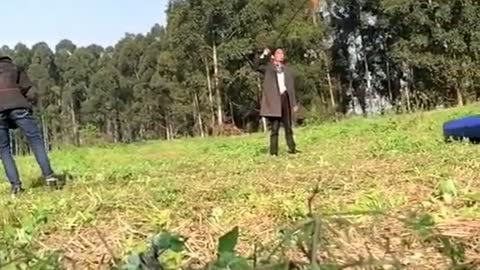 A dog is very long jump see this