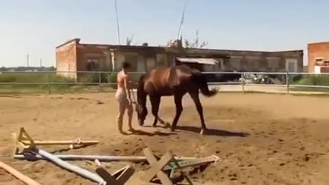 Horse Showed It s Sympathy For The Girl