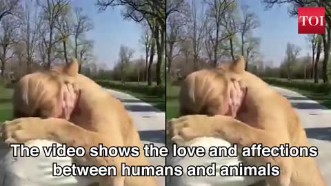 Lions Reunite with Caretaker, Priceless