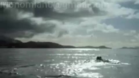 Nice a video
