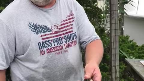 Cleaning Long Island Blowfish