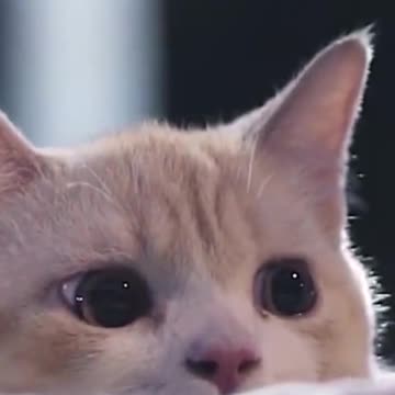 So cute 🥺🥺🥺