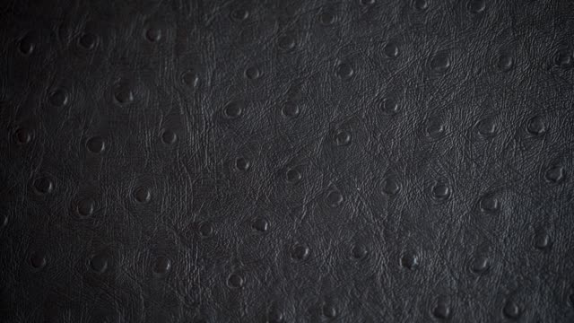 Villagers Trump Day event