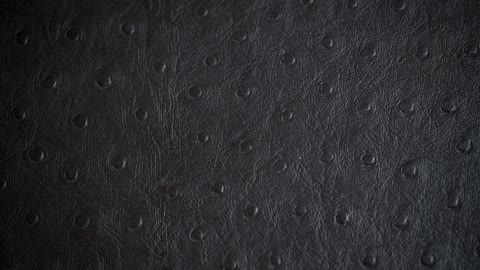 Villagers Trump Day event