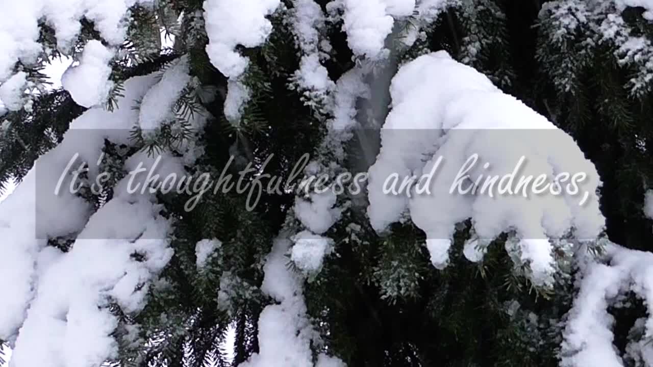 Merry Christmas Greeting Card #1