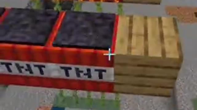 WOLF IQ TEST IN MINECRAFT_