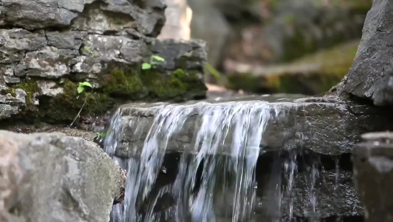 Relaxing Flute Music, Sleep Music, Calm Music, Insomnia, Flute Music, Relax, Flute, Spa, Study