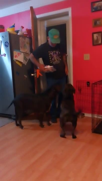 The Pitties LOVE Grandpa/Daddy