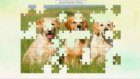 Golden Retrievers Jigsaw Puzzle Online