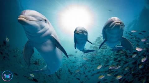 Relaxation Station - 10 Hours of Relaxing Underwater Sounds - Raindrops Background