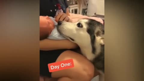 https://youtu.be/snuP_KpcQlg