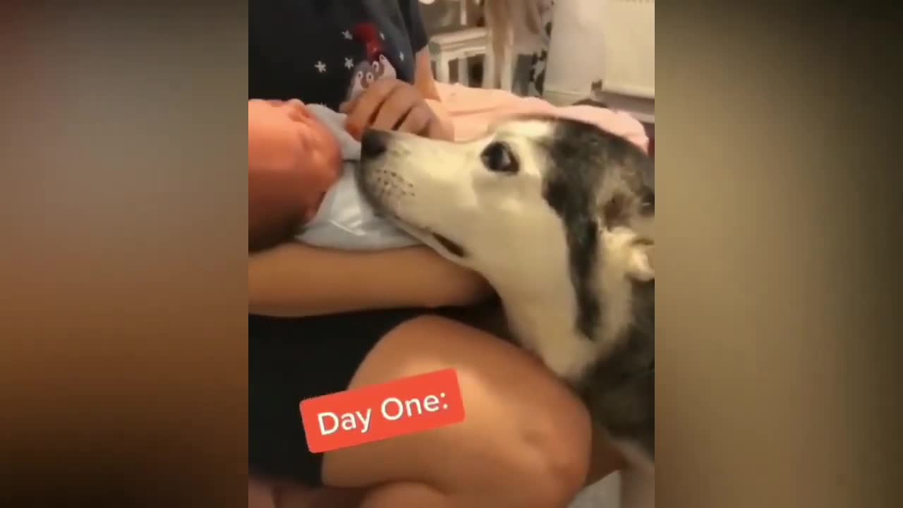 https://youtu.be/snuP_KpcQlg