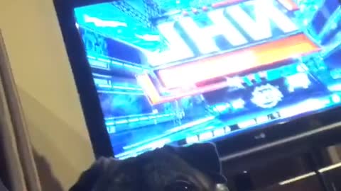 Dog making funny face next to owner sitting on sofa