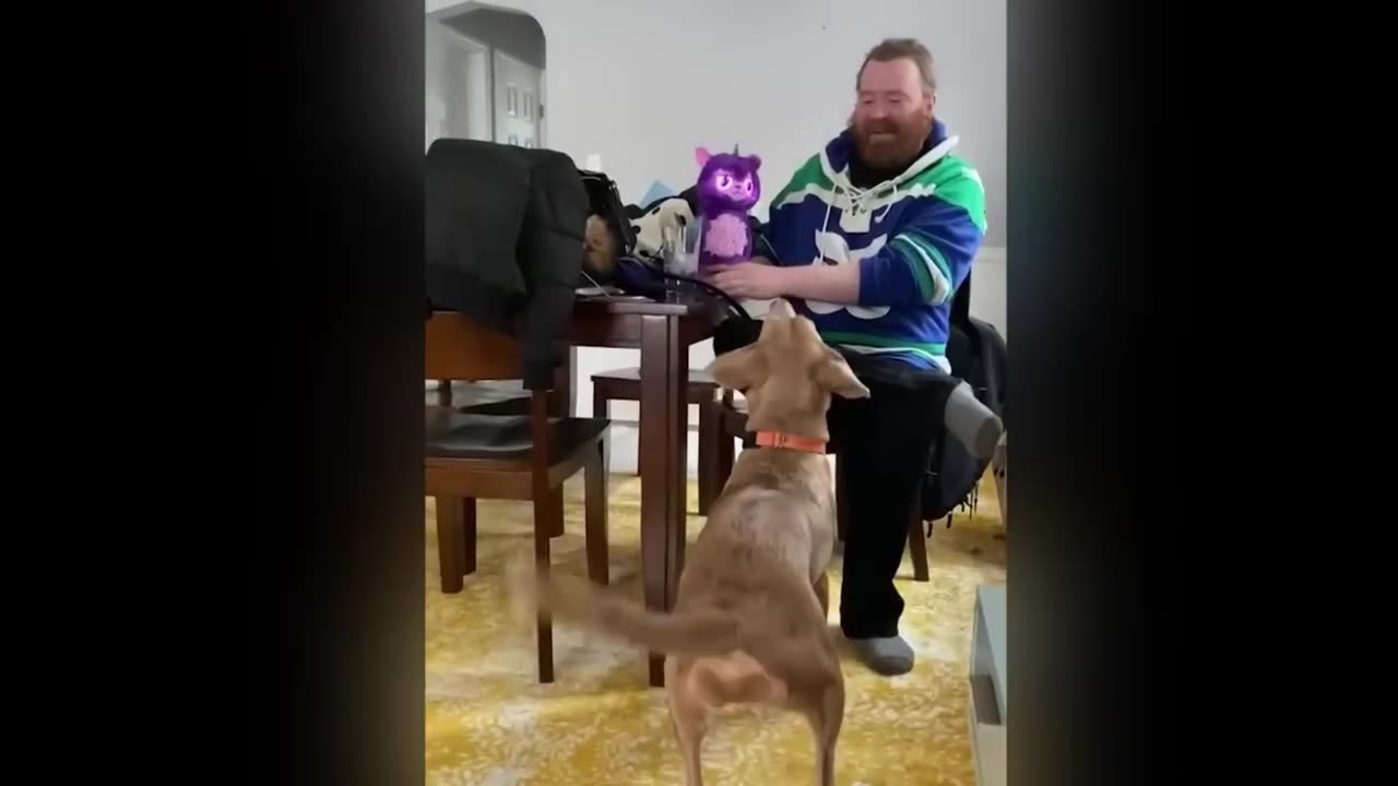 Best Funny Video 2024 ep 01