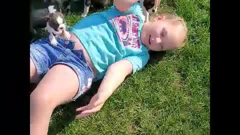 Playing in the sun