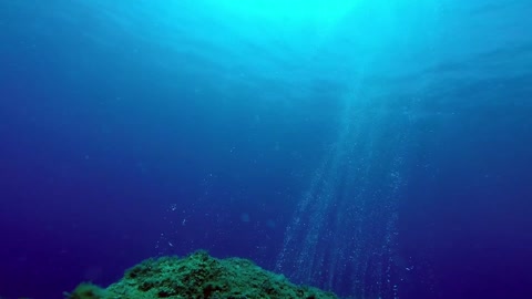 Scuba Diving Helps To See The Beauty Of The Sea