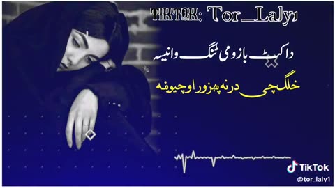 Best pashto songs