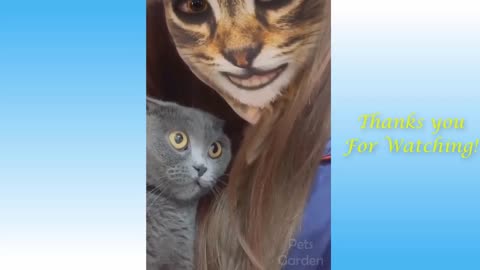 OMG so cute cats 😊
