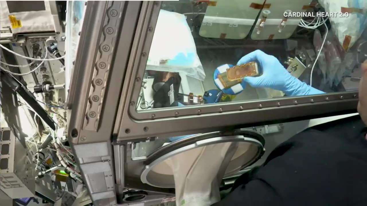 NASA Astronaut Frank Rubio_ A Year of Science in Space