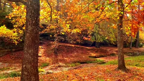 Eric Clapton - Autumn Leaves